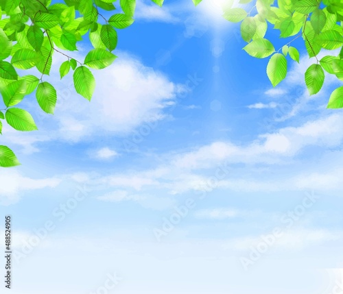 太陽の光が差し込む雲のある青空に新緑の美しい葉っぱの初夏フレーム背景素材
