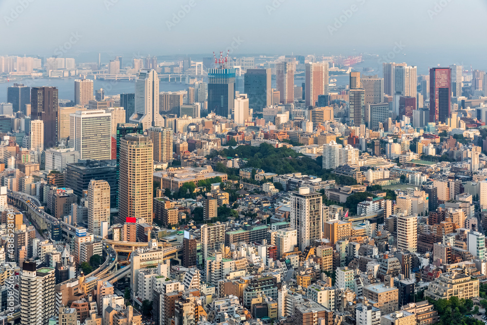 Japan, Kanto Region, Tokyo, Capital city downtown Japan, Kanto Region, Tokyo, Capital city downtown