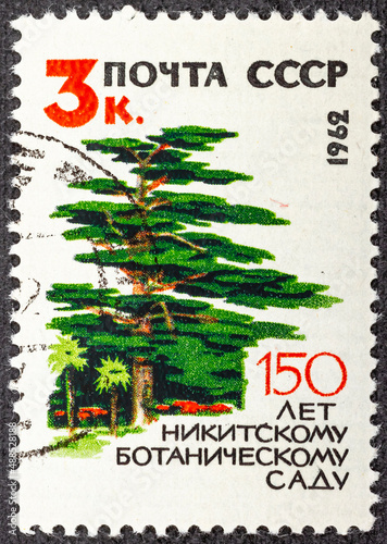 USSR - CIRCA 1962: Postage stamp printed in Soviet Union Russia shows Strawberry tree, 150th Anniversary of Nikitsky Botanical Gardens serie, 3 Russian kopek, circa 1962