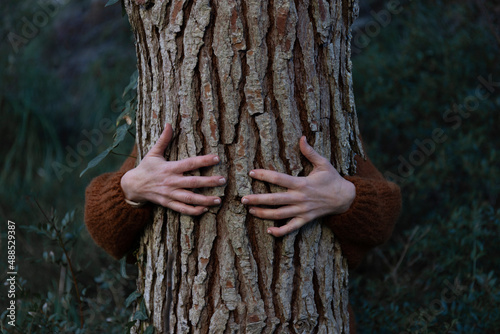 Woman's hands hugging tree in forest photo