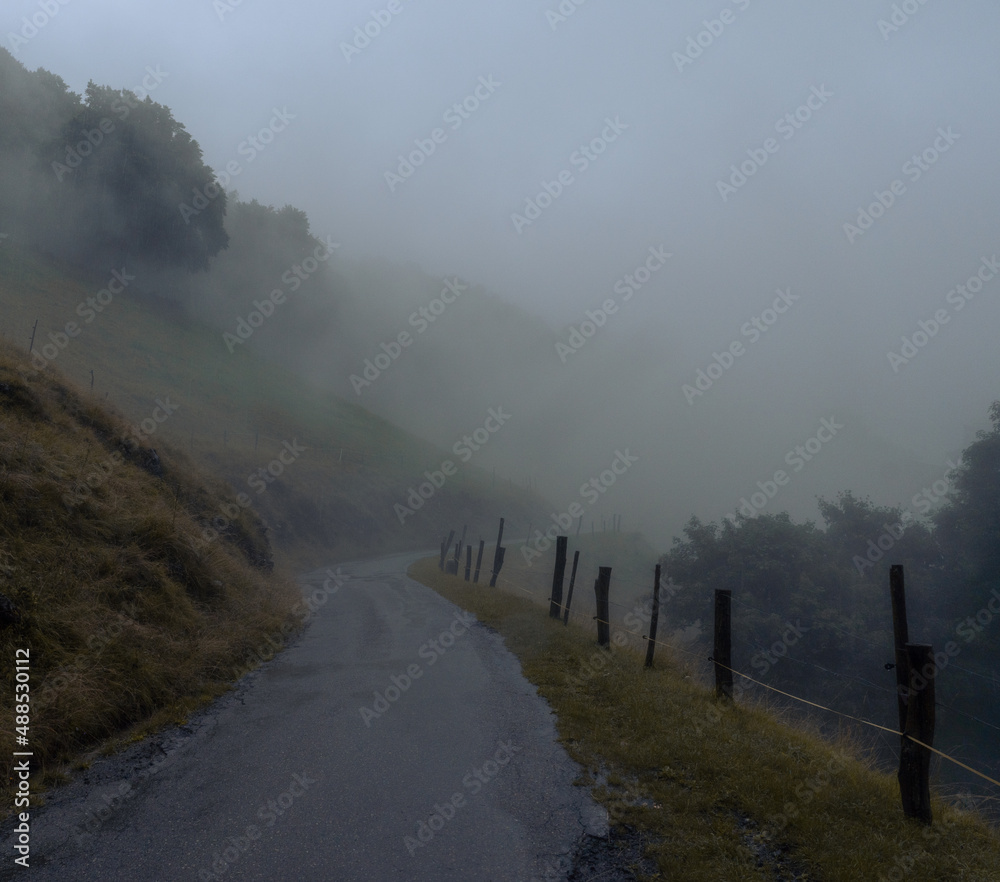 Mountain paved road winding its way through the fog. Among the mist you can make out the shapes of the trees and the slope on which the road is built. On the edge of the street there are wooden posts Mountain paved road winding its way through the fog. Among the mist you can make out the shapes of the trees and the slope on which the road is built. On the edge of the street there are wooden posts
