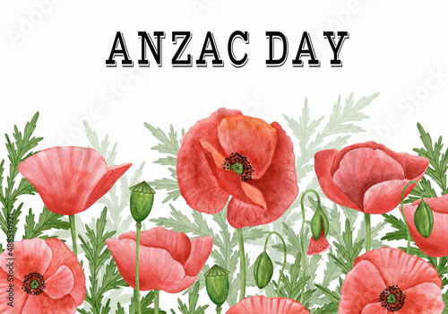 Anzac day card design template. Rememberance, Commemoration, Vetersns day. Hand drawn watercolor illustration photo
