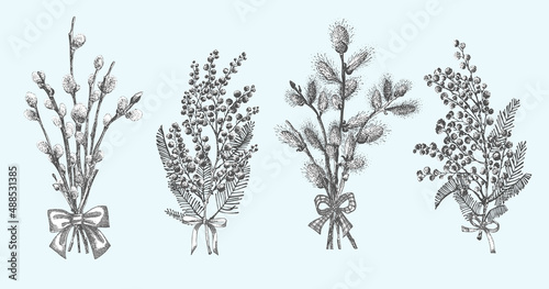 Pussy Willow, mimosa branches set. Spring bouquets with bow Hand-drawn sketch black and white design isolated on blue background. Outline Sunday Easter symbol collection Vector