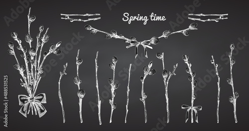 Pussy Willow branches set. Spring bouquet with ribbon bow. Chalk Hand-drawn sketch black and white design isolated on chalkboard background. Outline Sunday Easter symbol collection. Vector