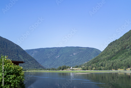 fjords and mountains norway sea flowers sunny weather