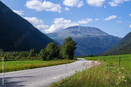 fjords and mountains norway sea flowers sunny weather