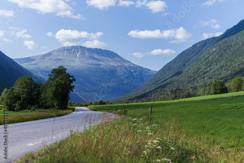 fjords and mountains norway sea flowers sunny weather