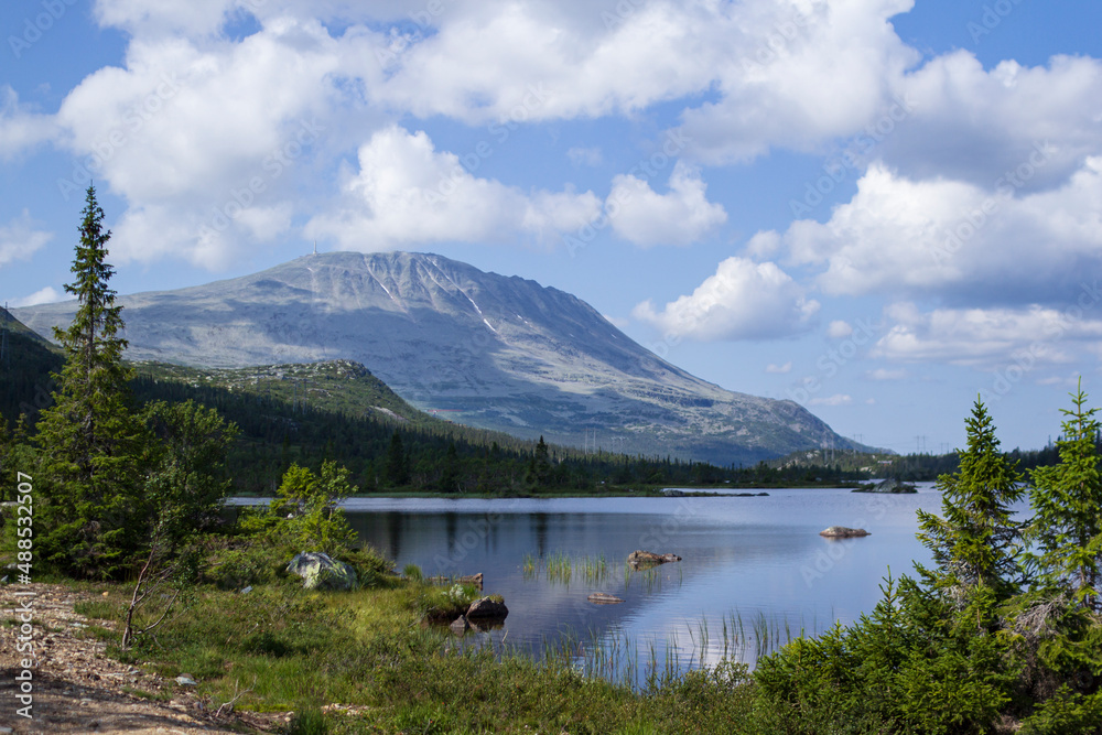 fjords and mountains norway sea flowers sunny weather fjords and mountains norway sea flowers sunny weather