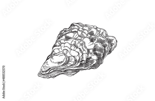 Closed oyster shell hand drawn sketch style vector illustration isolated.