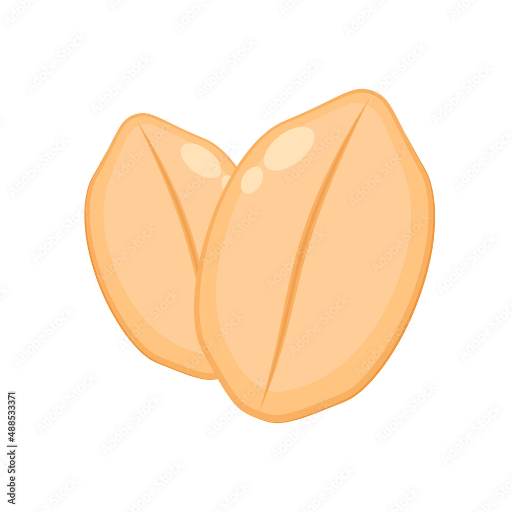 Obraz premium Peanut vector. wallpaper. free space for text. copy space. background. peanut on white background.