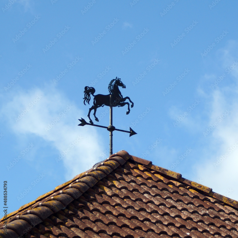 Horse-shaped weather vane on top of a roof with red tiles.