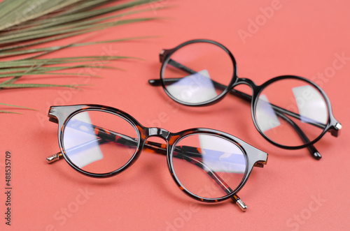 Stylish women's glasses on a colored background with palm leaves