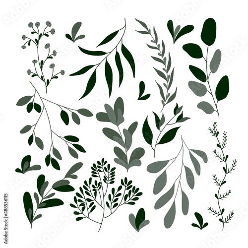 Set of plants and elements in shades of green on a white background. Isolate. Spring ornaments. Decor of tableware, textiles, postcards, clothes, banners, flyers, stationery. © Oksana Faliush