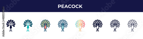 peacock icon in 8 styles. line, filled, glyph, thin outline, colorful, stroke and gradient styles, peacock vector sign. symbol, logo illustration. different style icons set. photo
