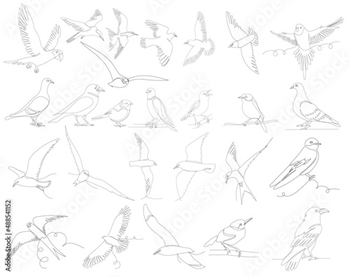 birds set one line drawing, outline, vector