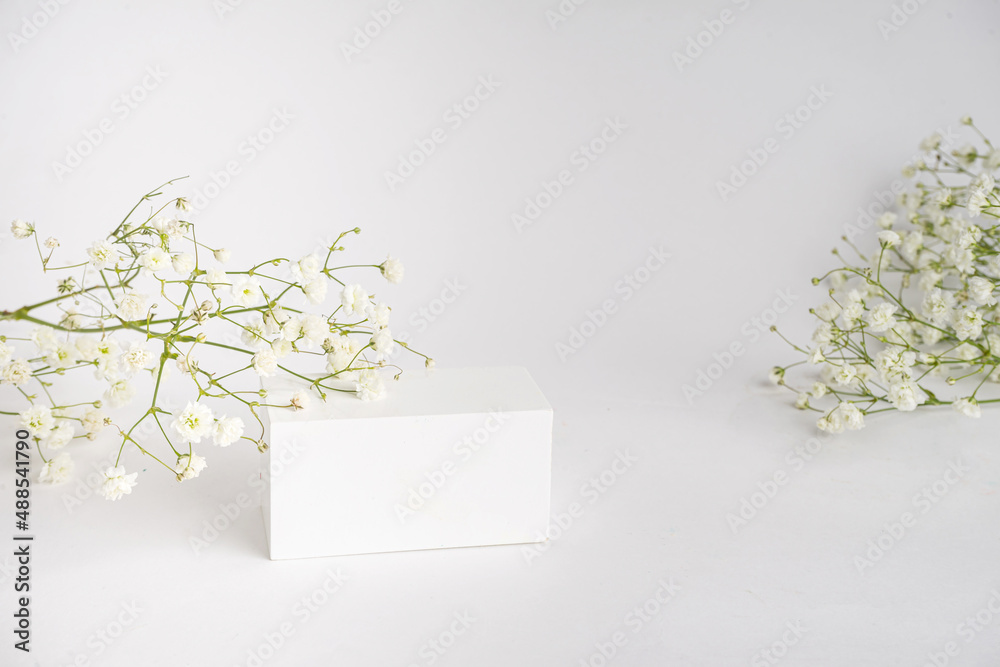 premium podium for product photo background. geometric objects on a white background.