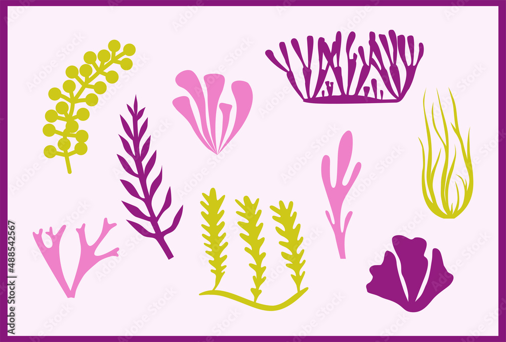 Set of algae and seaweed, silhouettes of the seabed Set of algae and seaweed, silhouettes of the seabed