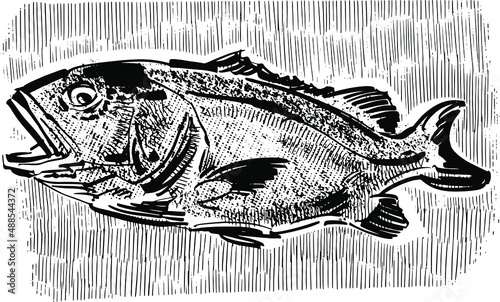 sketch of fish