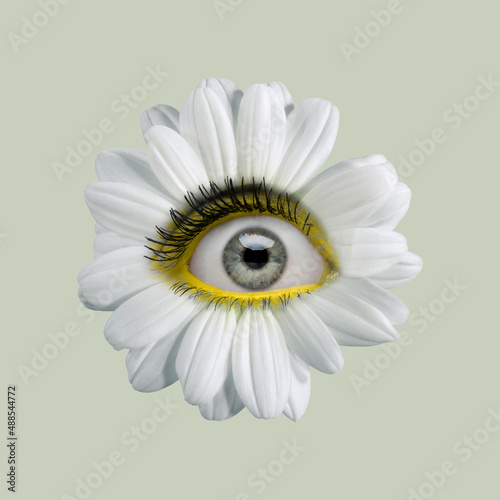 White camomile flower with an eye inside it on light background. Modern design. Contemporary art. Creative collage. Beauty, art, vision, fashion photo