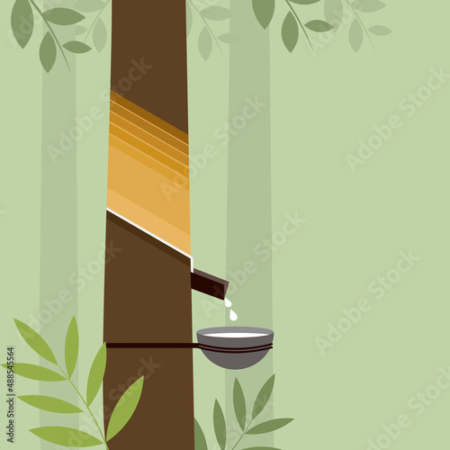 Illustration of a rubber tree with its latex is tapped in a cup photo