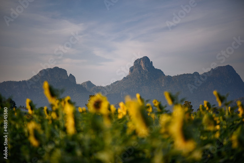Beautiful scenery of a mountain with blurry sunflowers foreground at Lopburi province, Thailand.