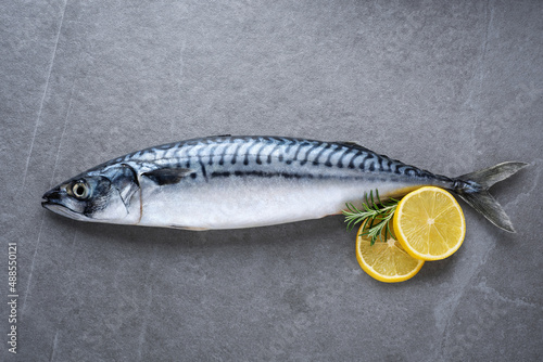 Mackerel with lemon and rosemary on gray background. Fresh seafood.
