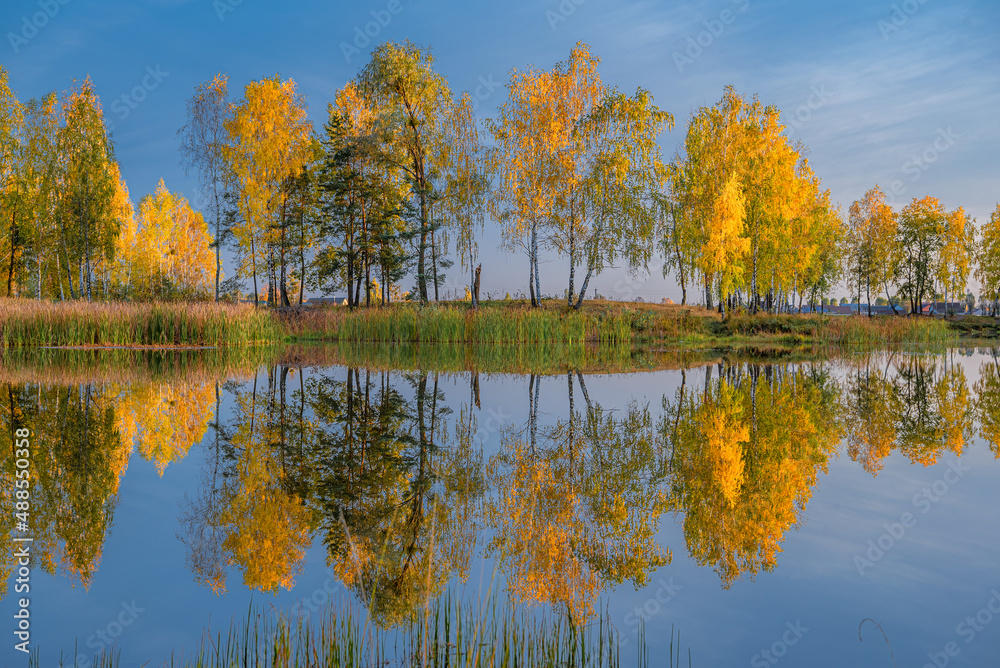 autumn trees reflected in water