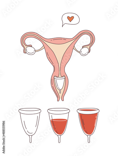 Women reproductive system uterus with menstrual cup