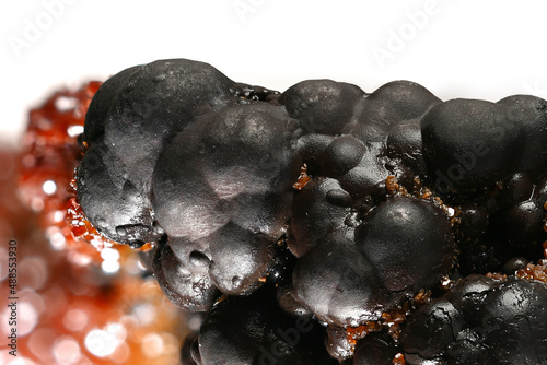 Black botryoidal iron ore called goethite and red crystals of vanadinium.  Sample from Taouz, Morocco. photo