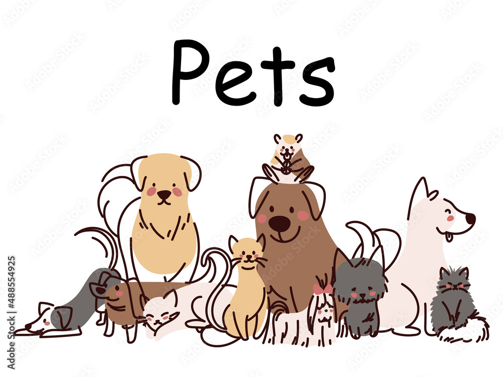 pets cute animals pets cute animals