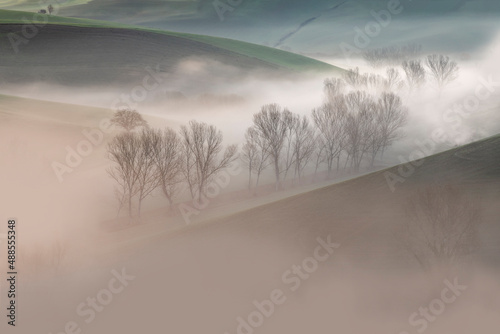 Colorful and misty sunrise between trees and hills - Landscape - Tuscany - Italy