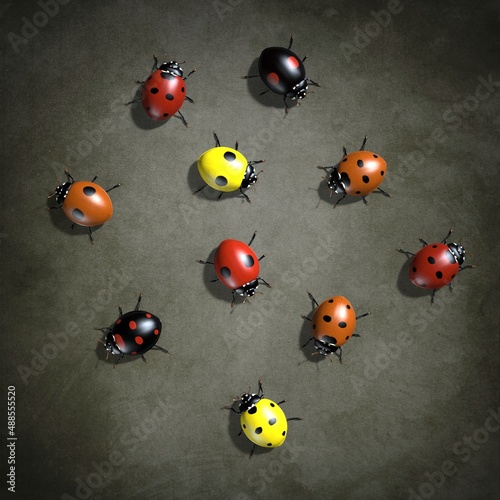 Insects are ladybugs. 3d illustration