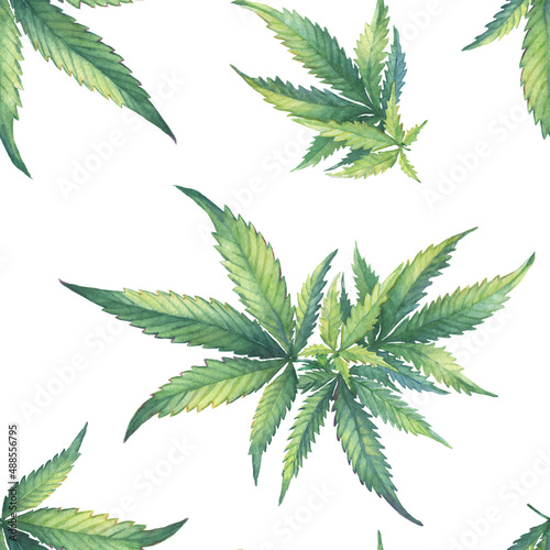 Seamless pattern with a green branch of Cannabis sativa  Cannabis indica  Marijuana  medicinal plant. Watercolor hand drawn painting illustration isolated on a white background.