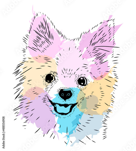 Spitz, dog. Colorful blots, sketch. Pet. Fluffy breed. Stock vector image isolated on white background. Smile. black and white illustration