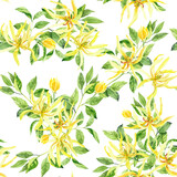 Watercolor hand painted ylang ylang branch and flowers. Watercolor hand drawn seamless pattern, wallpaper, wrapping paper, aromatherapy, essential oils