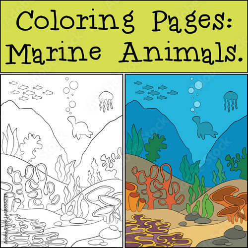 Coloring Page with example. Underwater landscape. At the bottom there are stones and various algae grow. Fish and other marine animals swim in the water.