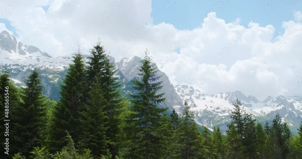 panorama of a forest with pines and firs in the Albanian alps, Valbona valley, Magical view of the snowy mountains, bright sun and white clouds, wide shot panorama of a forest with pines and firs in the Albanian alps, Valbona valley, Magical view of the snowy mountains, bright sun and white clouds, wide shot