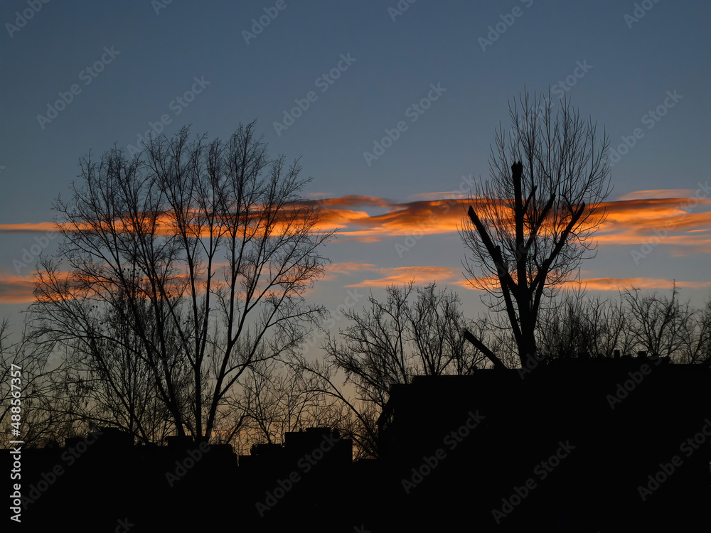Fototapeta premium Amazing sunset cloud scape scenery with trees background
