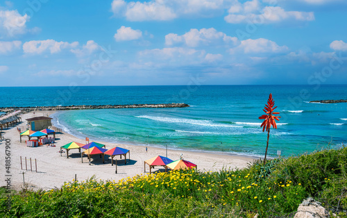 Fototapeta Beautiful Hilton beach in the summertime in Tel-Aviv, Israel