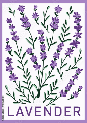 Lavender flowers. Hand drawn lavender twigs for prints, posters, cards, banners. Vector illustration.