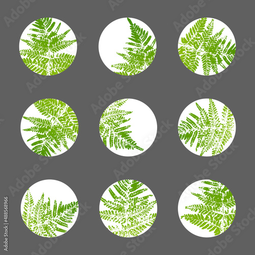 Set of story highlights covers with green fern leaves for organic natural blogs and social networks design