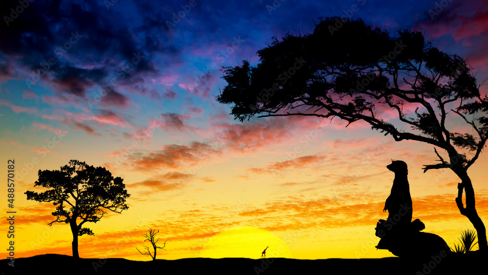 Desert landscape with a beautiful sunset and a silhouette of a meerkat sitting on a tree. Desert at sunset. Desert landscape with a beautiful sunset and a silhouette of a meerkat sitting on a tree. Desert at sunset.