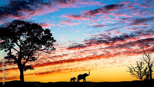 Desert landscape with a beautiful sunset and the silhouette of an elephant with a baby elephant in the distance. Desert at sunset. © HappyRichStudio