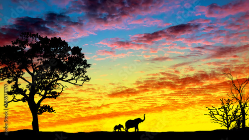 Desert landscape with a beautiful sunset and the silhouette of an elephant with a baby elephant in the distance. Desert at sunset.