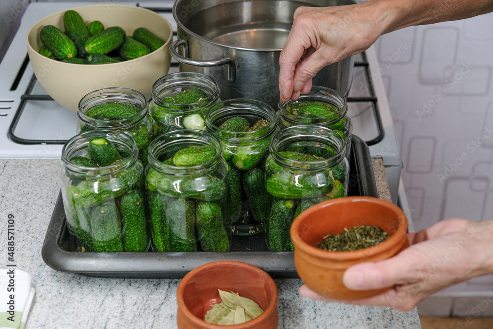 Canning cucumbers at home. Pickles jars for winter season. Organic homemade cucumber pickles.