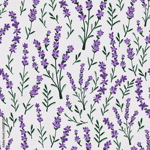 Lavender seamless pattern. Modern print for fabric, textiles, wrapping paper. Vector illustration.