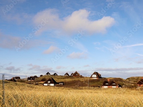 Landschaft Siedlung von Hörnum auf Insel Sylt, Deutschland