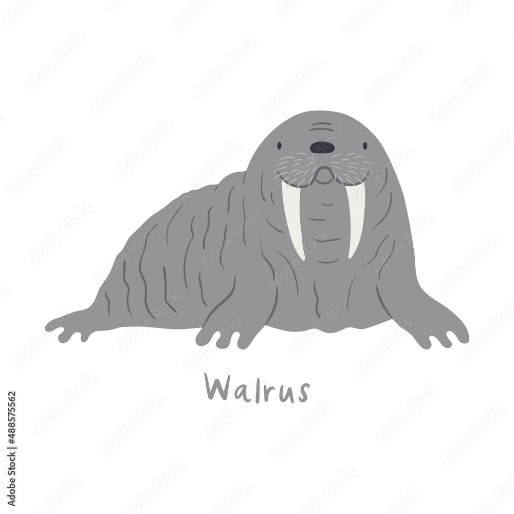 Obraz premium Cute cartoon walrus, isolated on white. Hand drawn vector illustration. Winter animal character. Arctic wildlife, nature. Design concept for kids fashion, textile print, poster, card, baby shower.