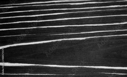 Natural wood texture of ebony. White horizontal stripes on a black background.