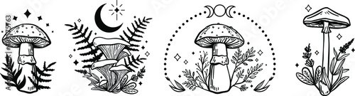 Photo Celestial Mystical boho mushrooms, magic mushroom with moon and stars, witchcraft symbol, witchy esoteric objects, floral mystical elements fungi, fungus